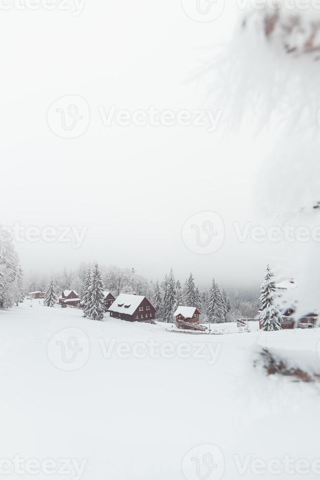 nebuloso manhã dentro uma Nevado panorama dentro visalaje, beskydy montanhas dentro a Oriental parte do a tcheco república. branco fada conto dentro inverno meses foto