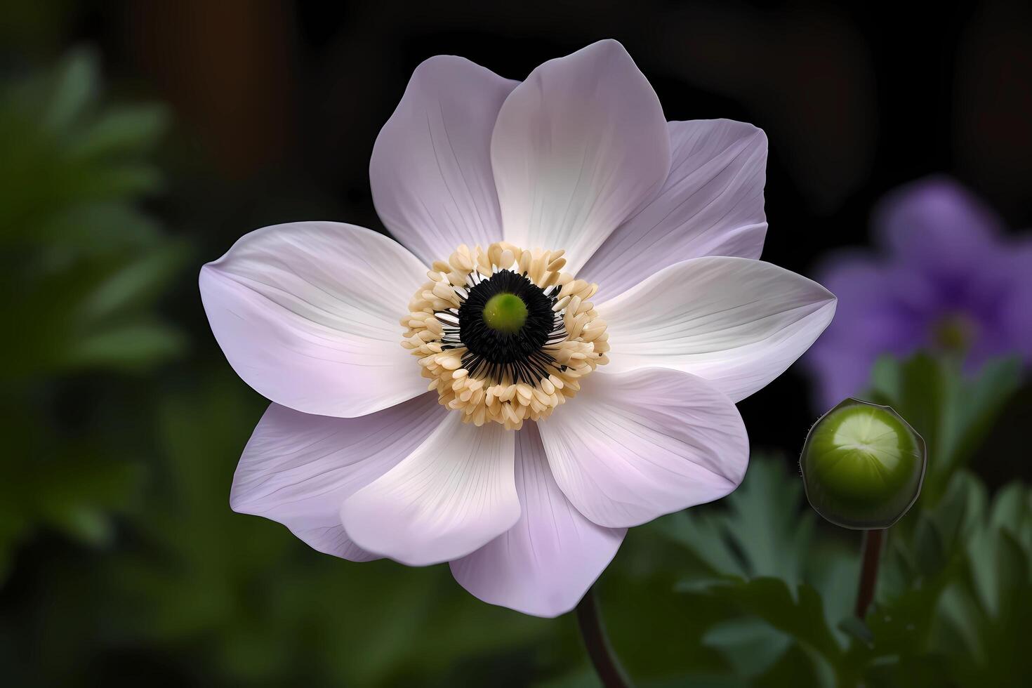 ai gerado anêmona - anêmona coronária - nativo para a Oriental Mediterrâneo, anêmonas estão conhecido para seus impressionante, aveludado floresce e profundo cores. elas estão frequentemente usava para decorativo finalidades foto