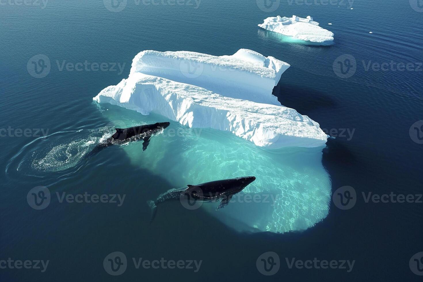 ai gerado sereno e natural meio Ambiente características dois baleias natação perto icebergs imaculado azul águas ai gerado foto