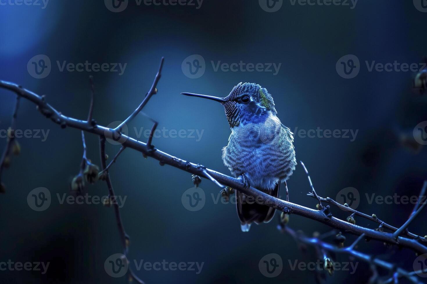 ai gerado beija Flor empoleirado em uma filial, iluminado de uma suave azul luz dentro a meio do Trevas ai gerado foto