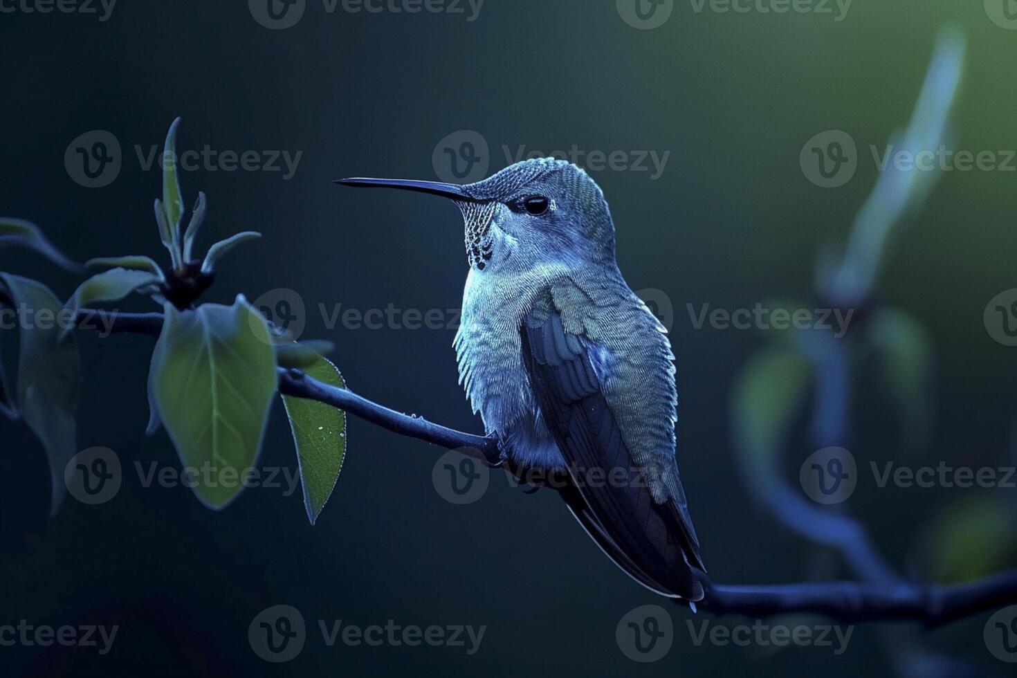 ai gerado beija Flor empoleirado em uma filial, iluminado de uma suave azul luz dentro a meio do Trevas ai gerado foto