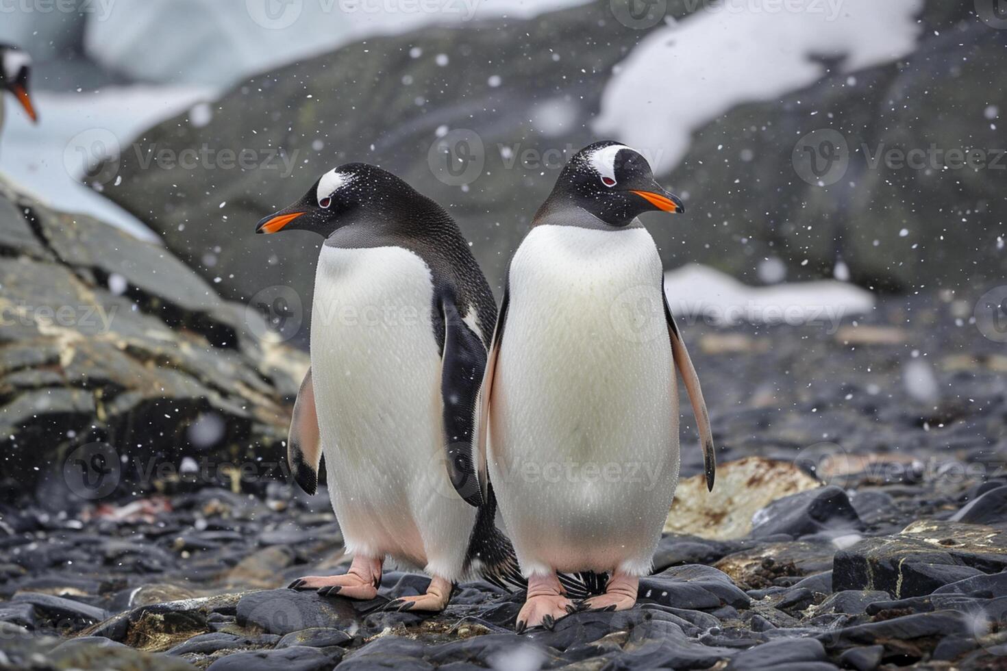 ai gerado dois pinguins em pé fechar para cada de outros em uma rochoso superfície ai gerado foto