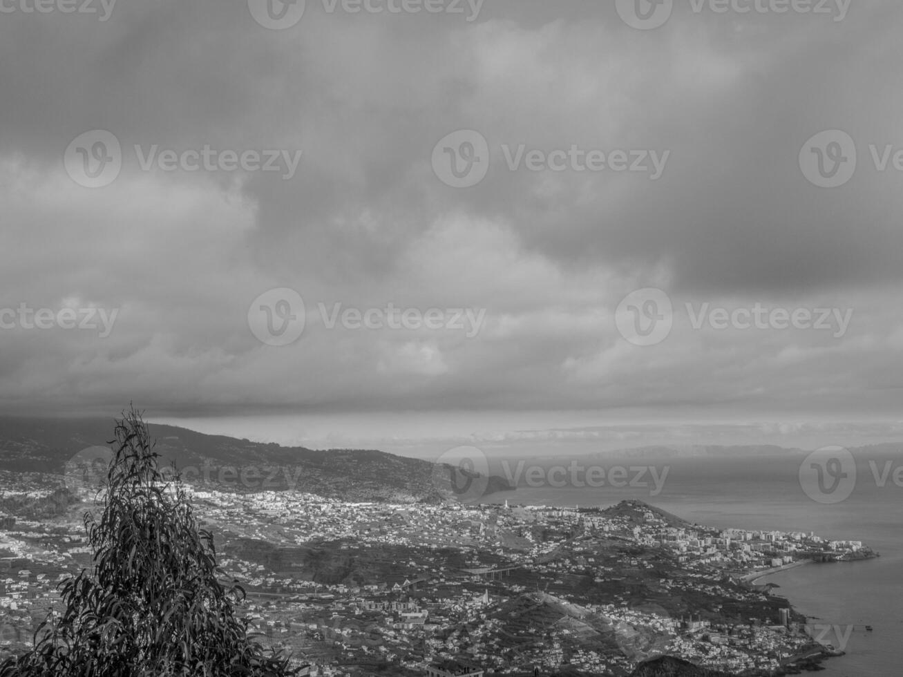 ilha da madeira em portugal foto