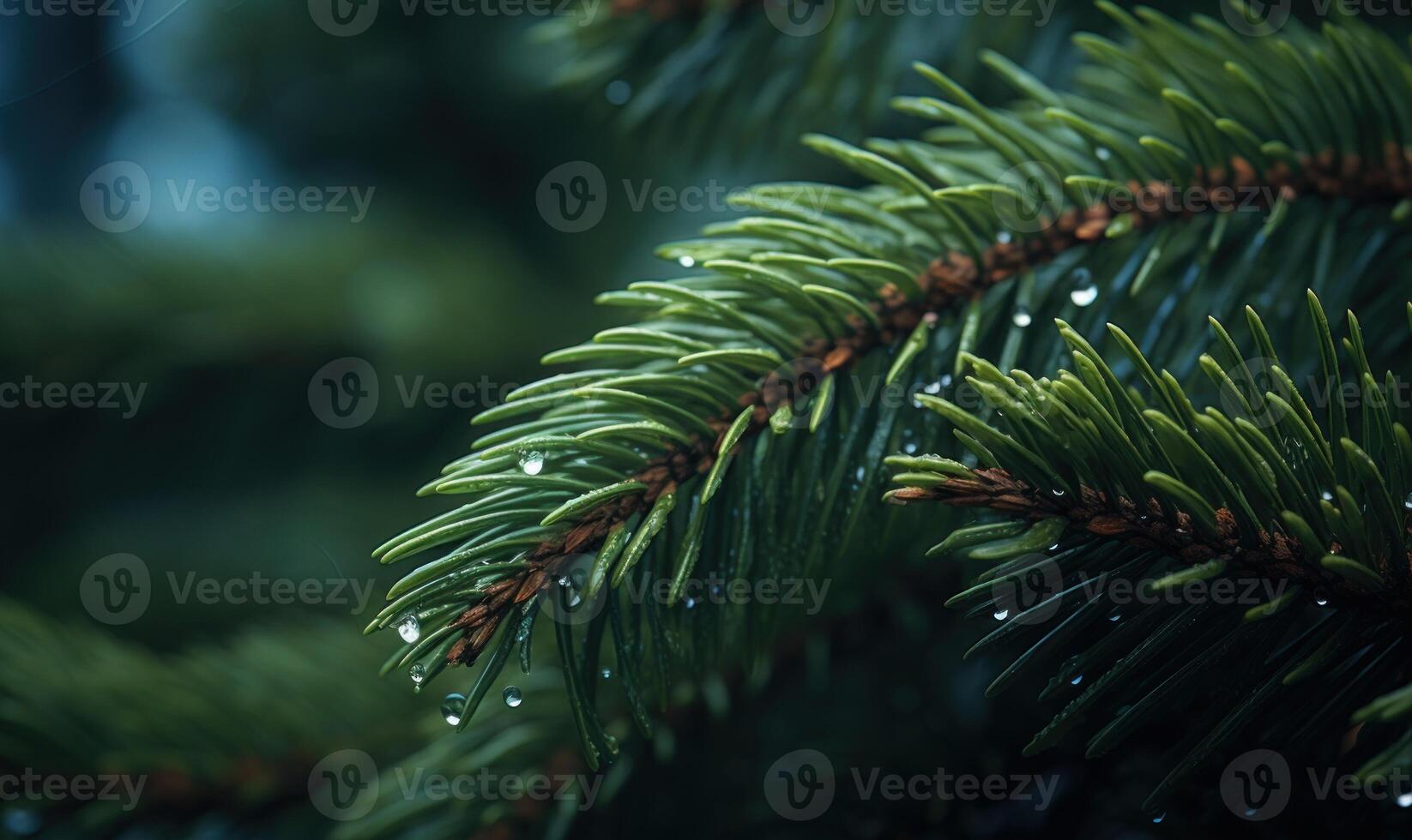 ai gerado pinho galhos com orvalho gotas fechar-se. natureza fundo foto