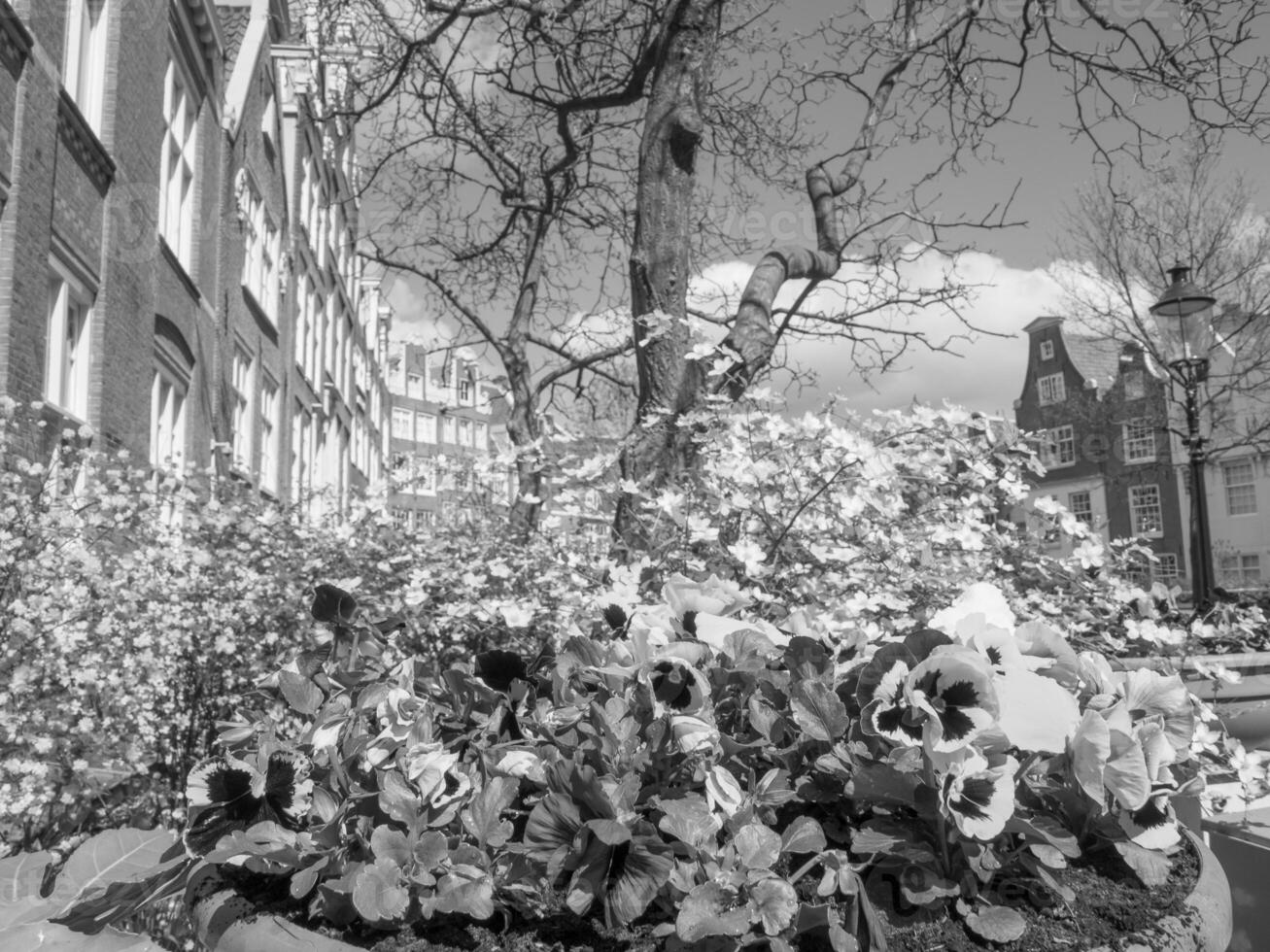 a cidade de amsterdã na holanda foto