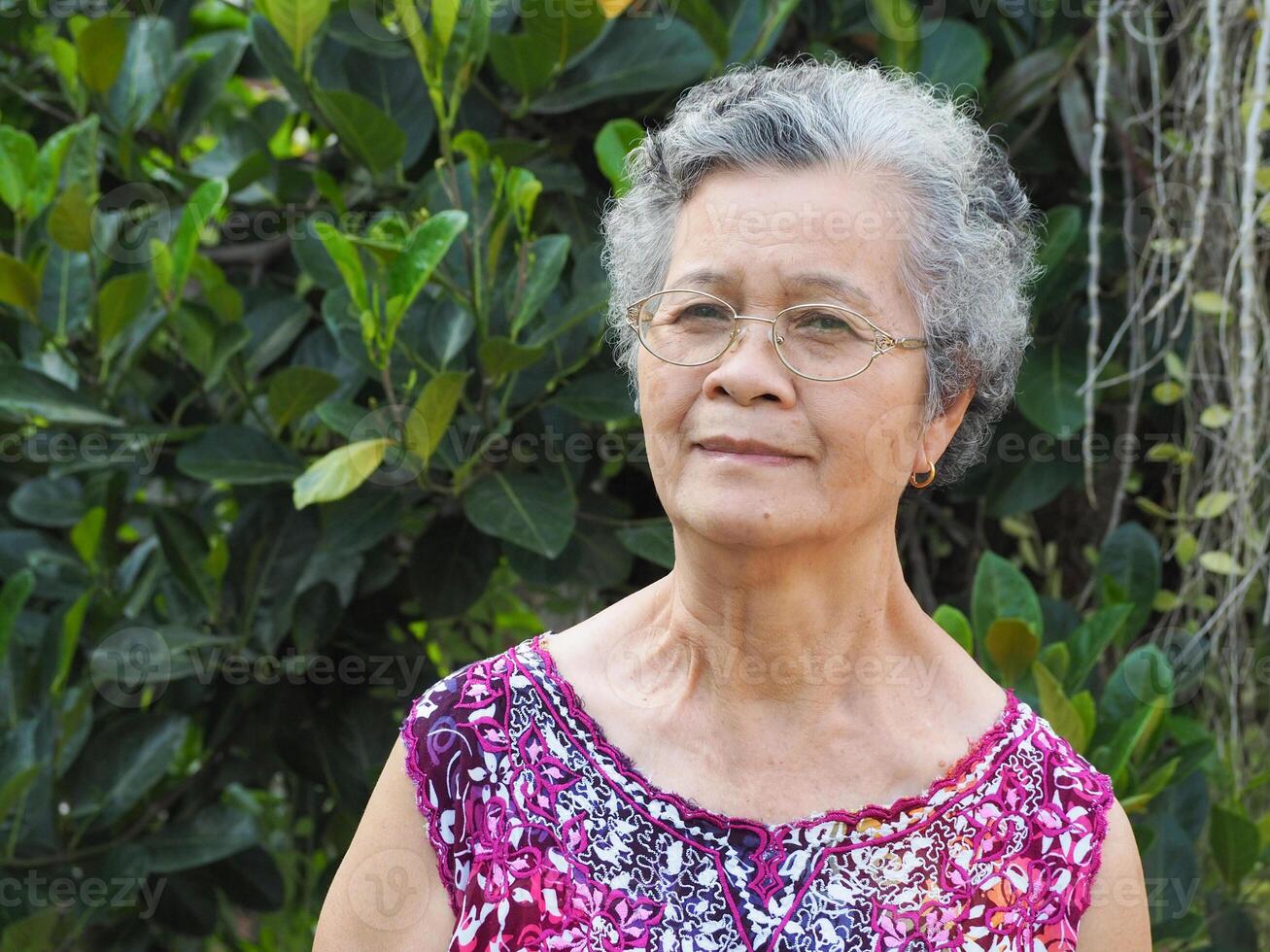 retrato do uma Senior mulher sorridente e olhando às Câmera enquanto em pé dentro uma jardim foto