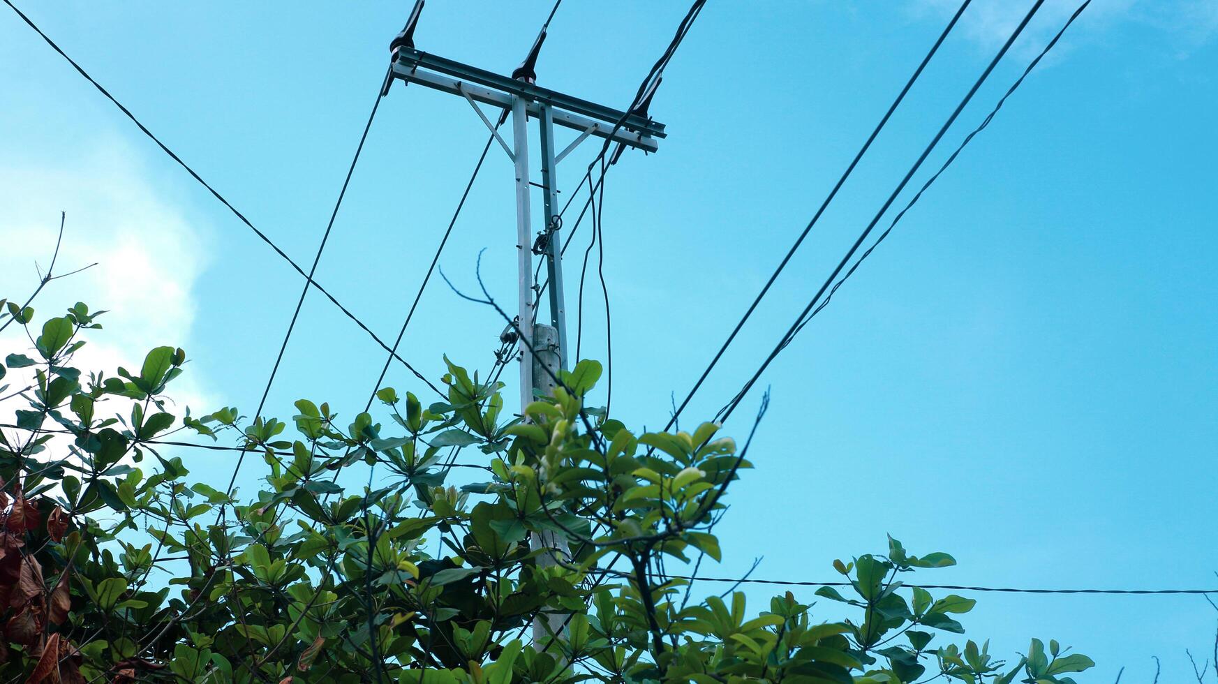 elétrico postes com azul céu fundo foto