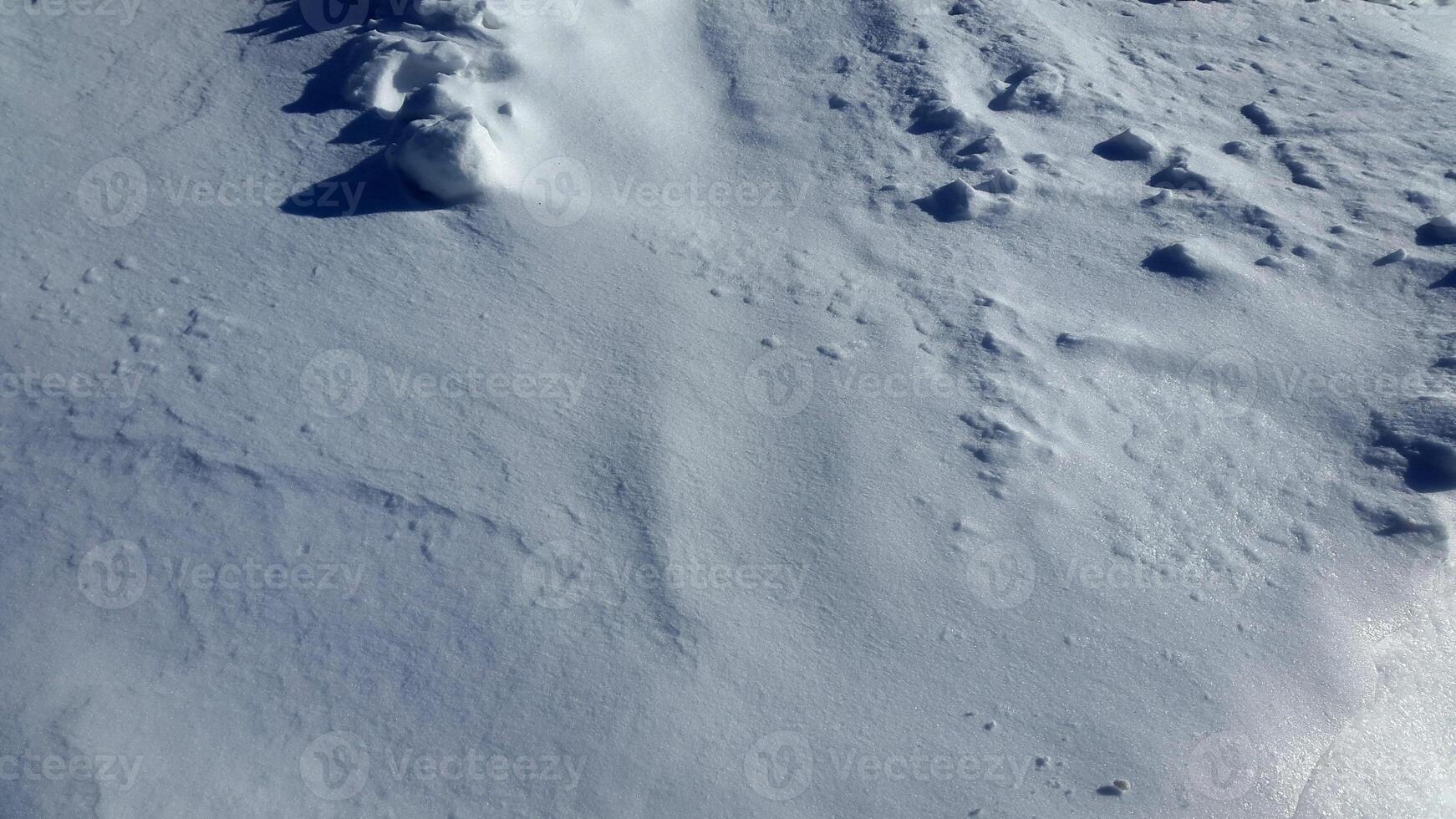 Nevado simples. neve superfície. inverno Nevado panorama foto