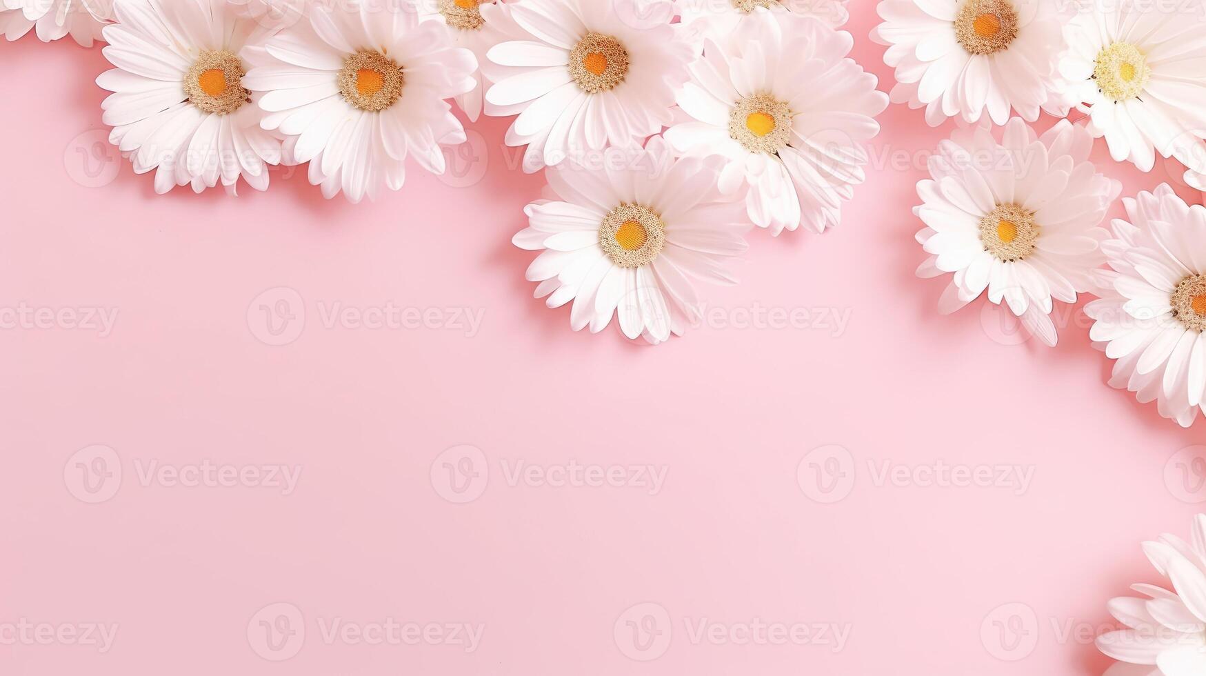 ai gerado minimalista Projeto abordagem. delicado branco margarida camomila flores em uma suave Rosa pano de fundo. ideal para criativo verão e Primavera conceitos, ai gerado. foto