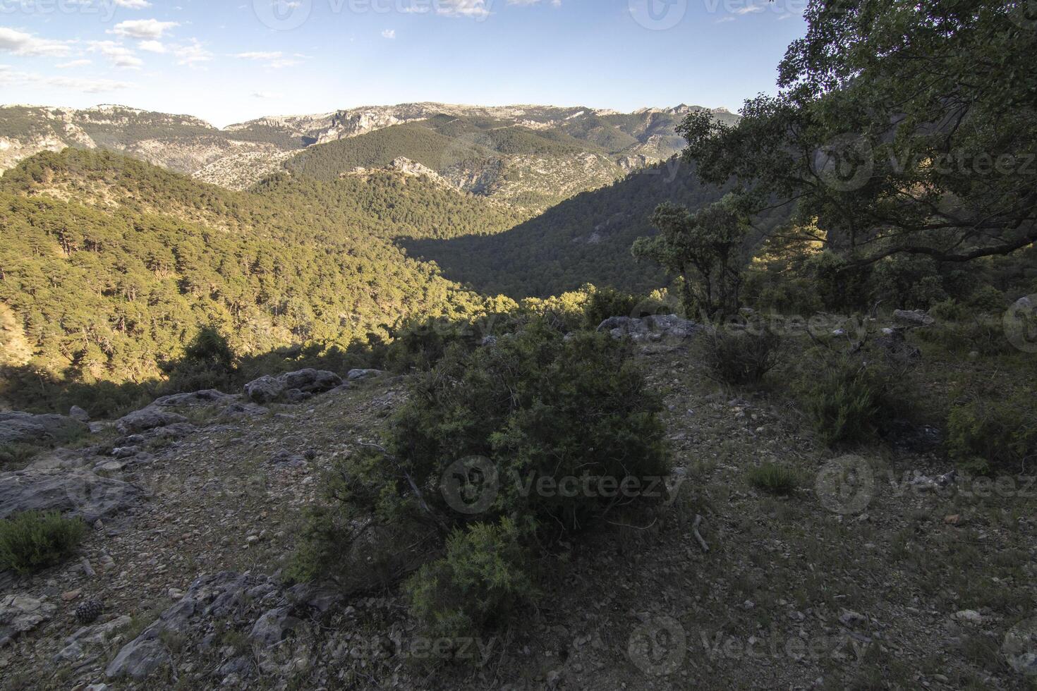 paisagens e trilhas do a lindo natureza do a serra de Cazorla, Jaén, Espanha. natureza período de férias conceito. foto