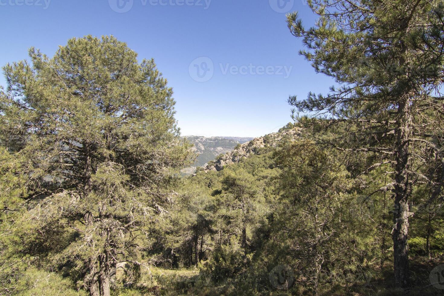 paisagens e trilhas do a lindo natureza do a serra de Cazorla, Jaén, Espanha. natureza período de férias conceito. foto