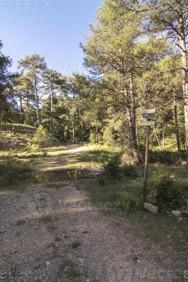 paisagens e trilhas do a lindo natureza do a serra de Cazorla, Jaén, Espanha. natureza período de férias conceito. foto