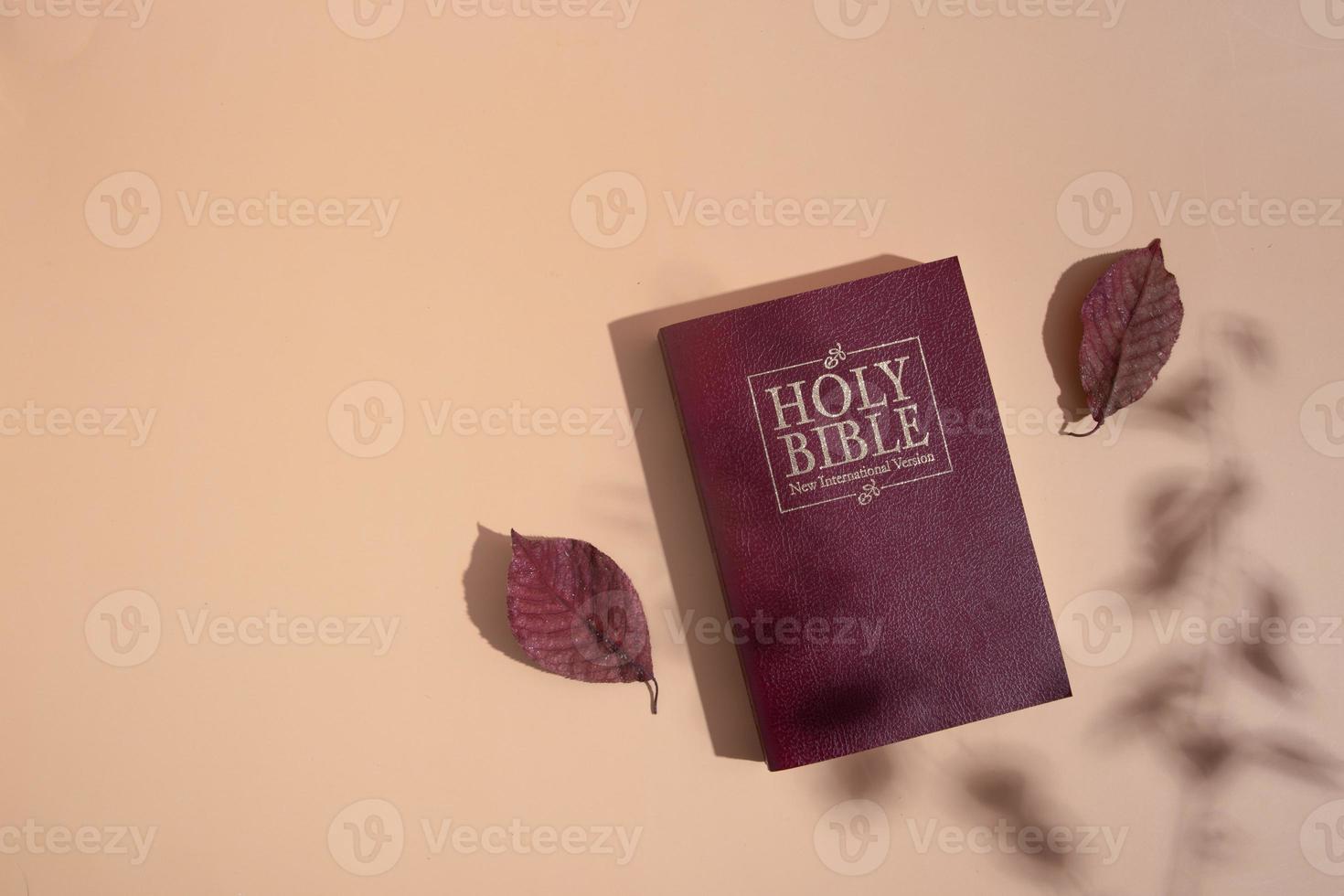 vista de cima da bíblia sagrada com sombras e folhas de outono em fundo laranja foto