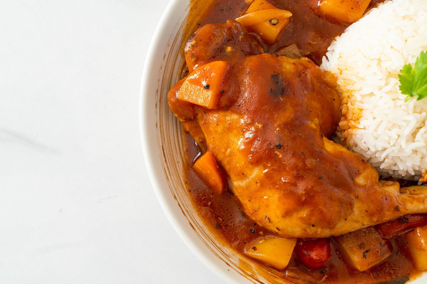 ensopado de frango com tomate, cebola, cenoura e batata no prato com arroz foto