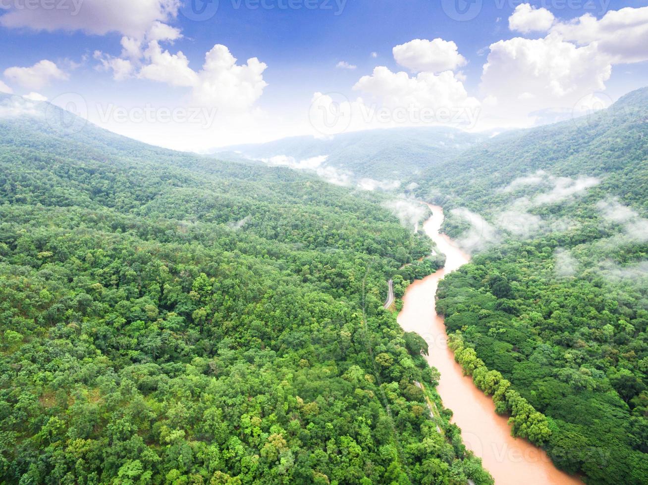 vista aérea da bela floresta tropical com o rio, filmada de drone foto