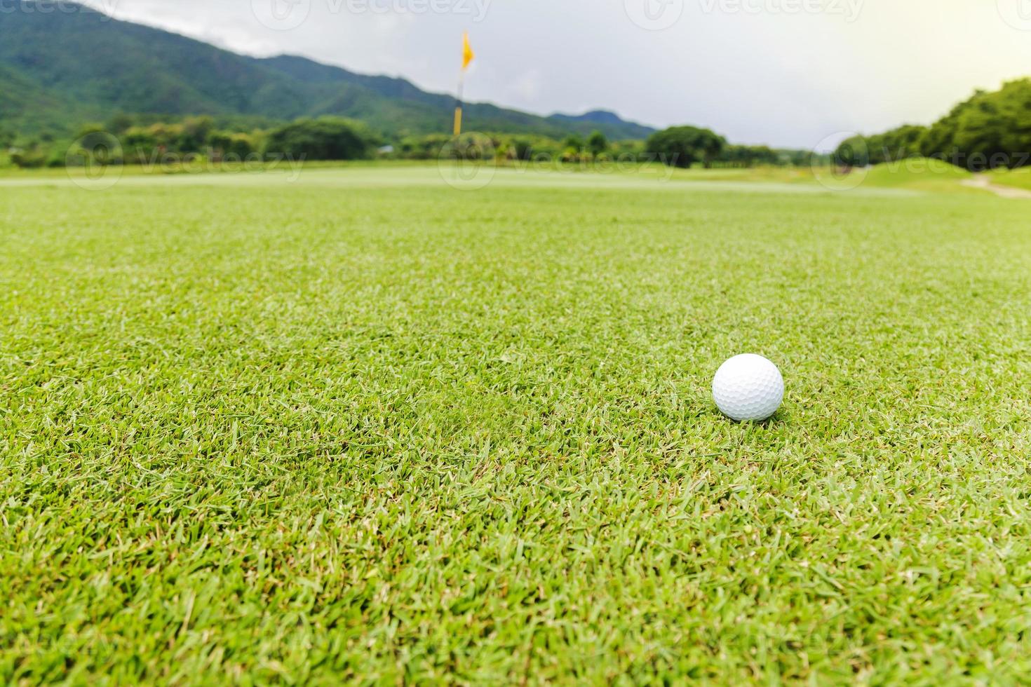 bola de golfe na grama verde no campo de golfe foto