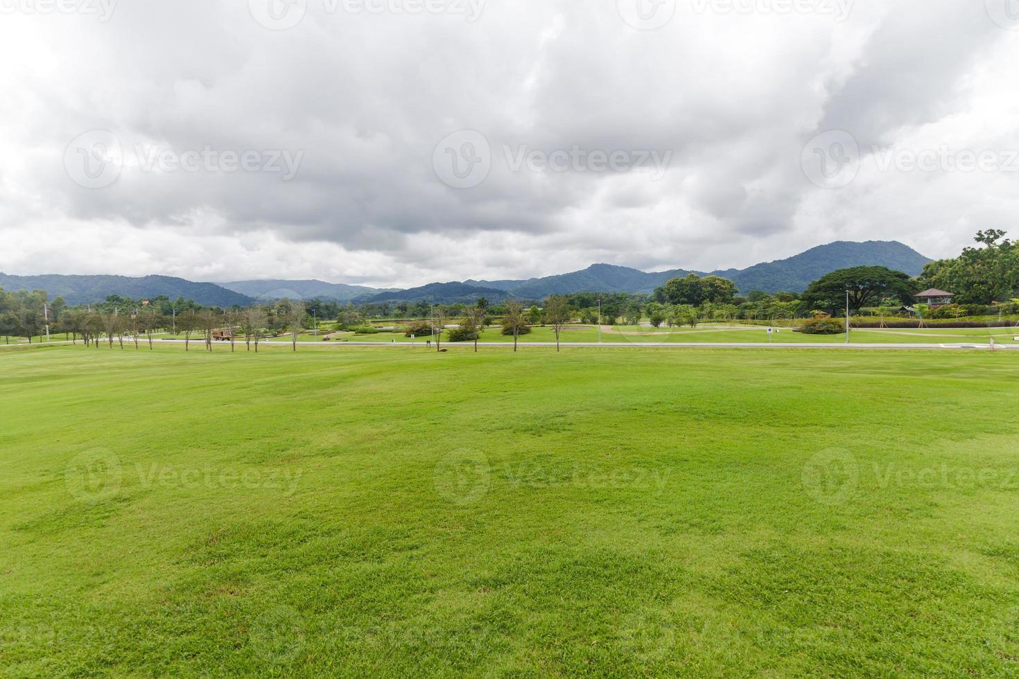 paisagem de gramado verde em um lindo jardim foto