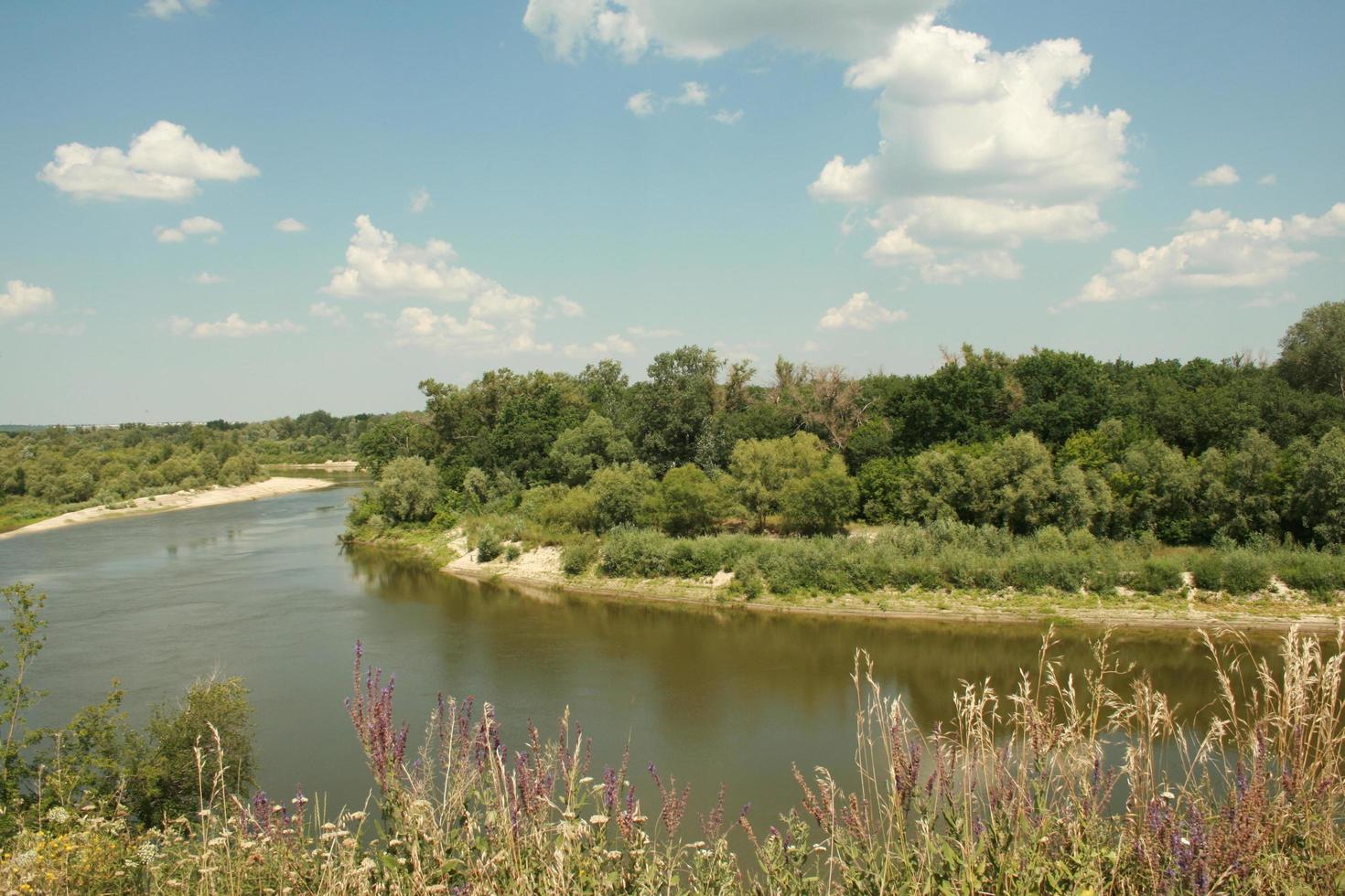 paisagem natural do rio foto