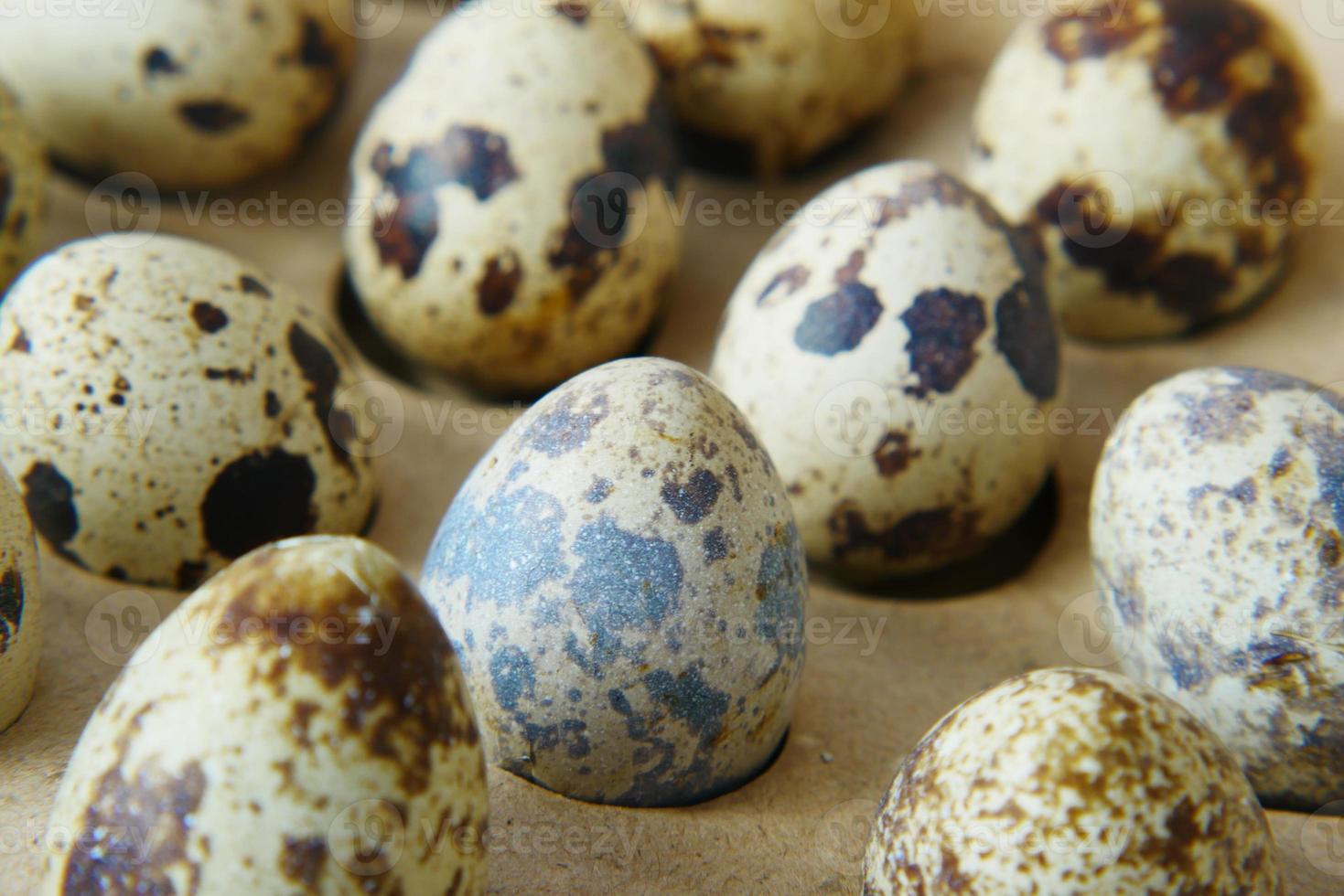 close up de ovos de codorna em uma caixa foto