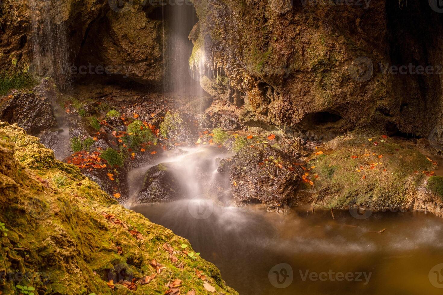 floresta cascata dentro luz solar com outono folhas foto