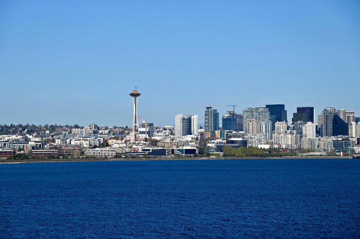 centro da cidade Seattle Horizonte visto a partir de a água foto