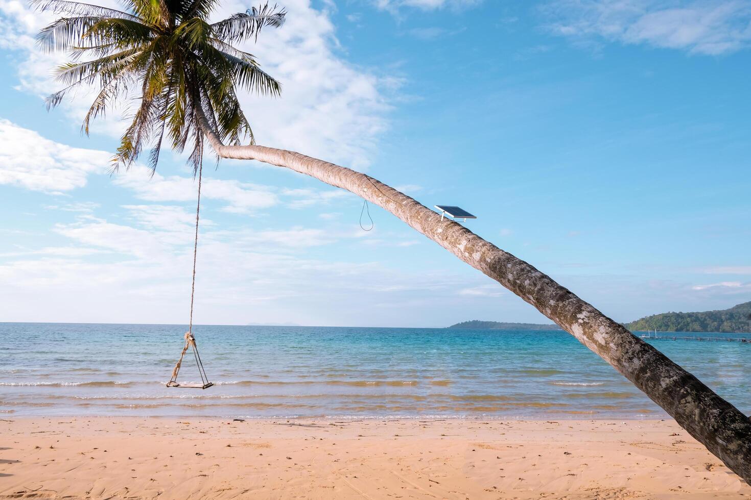 lindo tropical de praia com madeira balanço Palma árvore em azul céu e branco nuvem para viagem e período de férias foto