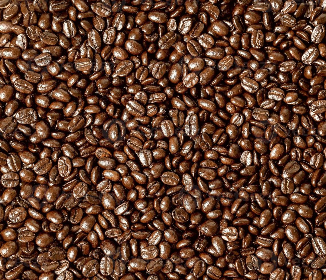 grãos de café torrados em um fundo plano foto