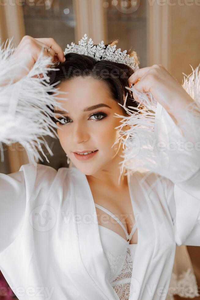 manhã do a noiva antes a casamento. uma lindo jovem mulher com uma véu e uma lindo Penteado dentro uma branco roupão dentro uma quarto com uma Maravilhoso interior. natural beleza e profissional inventar. foto