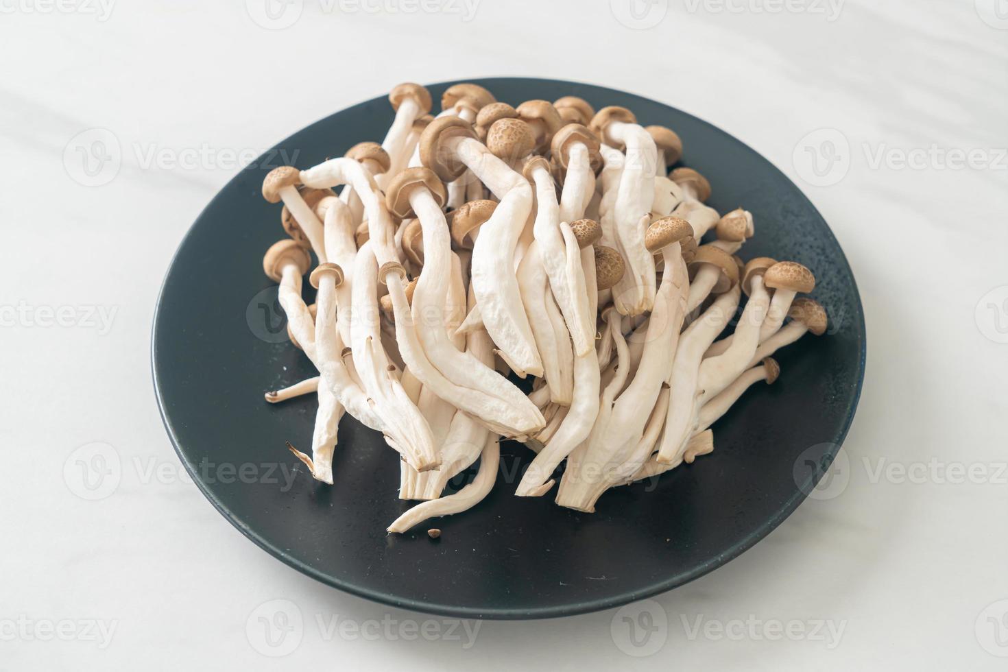 cogumelo de faia marrom fresco ou cogumelo reishi preto foto
