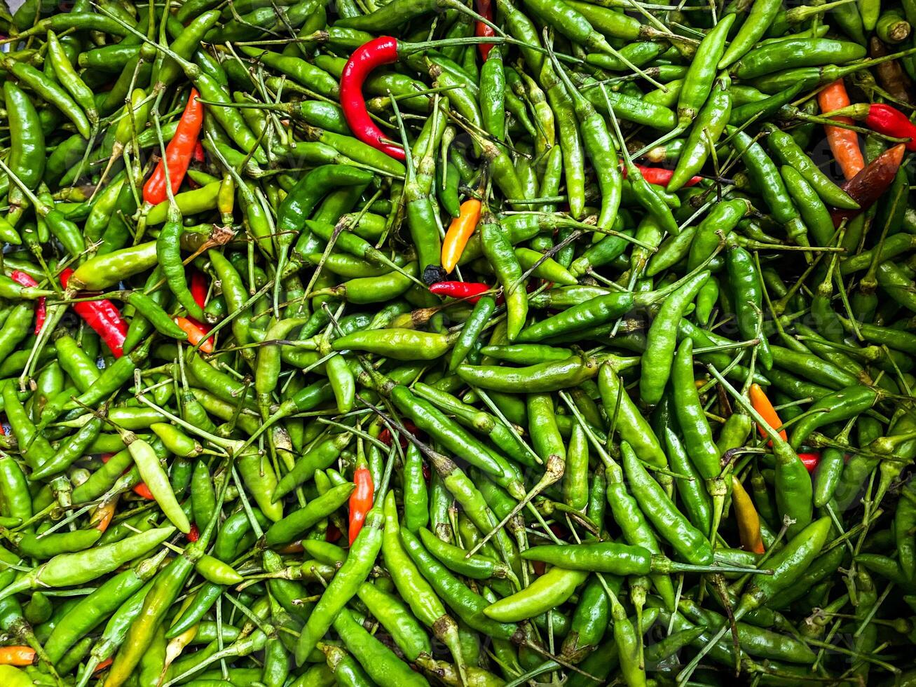 pano de fundo do verde Pimenta pimentas textura fundo. fechar acima Visão com cópia de espaço para Projeto foto