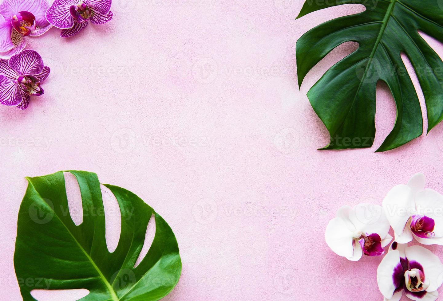 folhas tropicais monstera e flores de orquídea foto