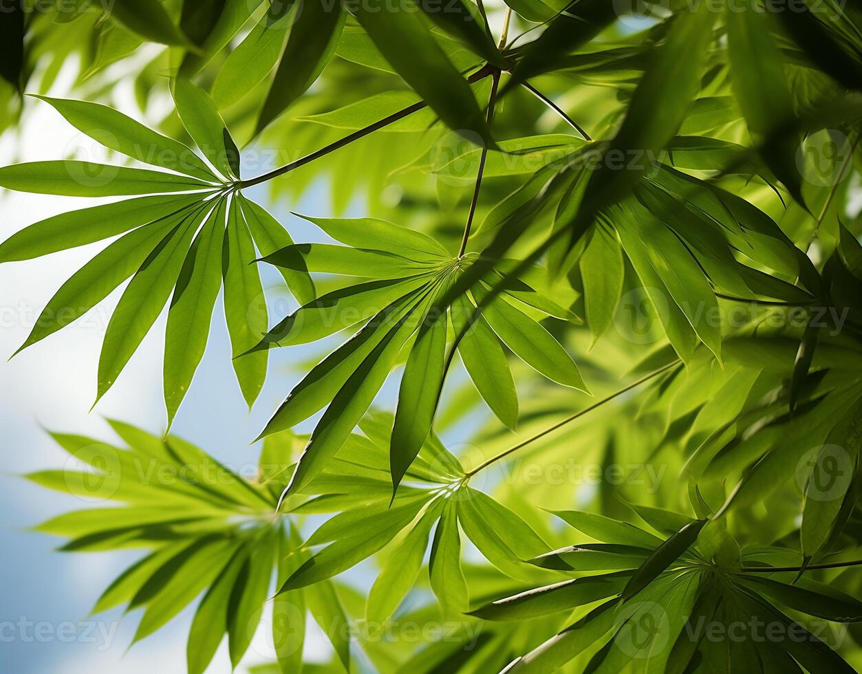 ai gerado verde folhas fundo com plantas, árvores, e natureza elementos, exibindo da natureza frescor e crescimento, generativo ai foto