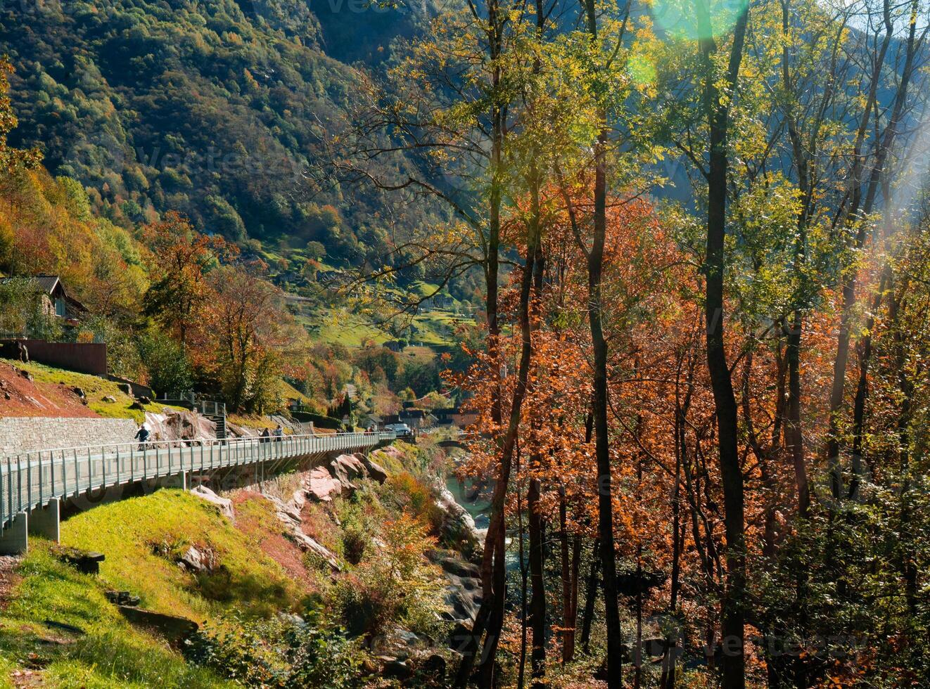 uma estrada com árvores e uma ponte dentro a fundo foto