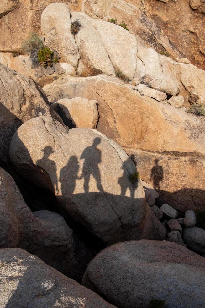 joshua tree national park foto