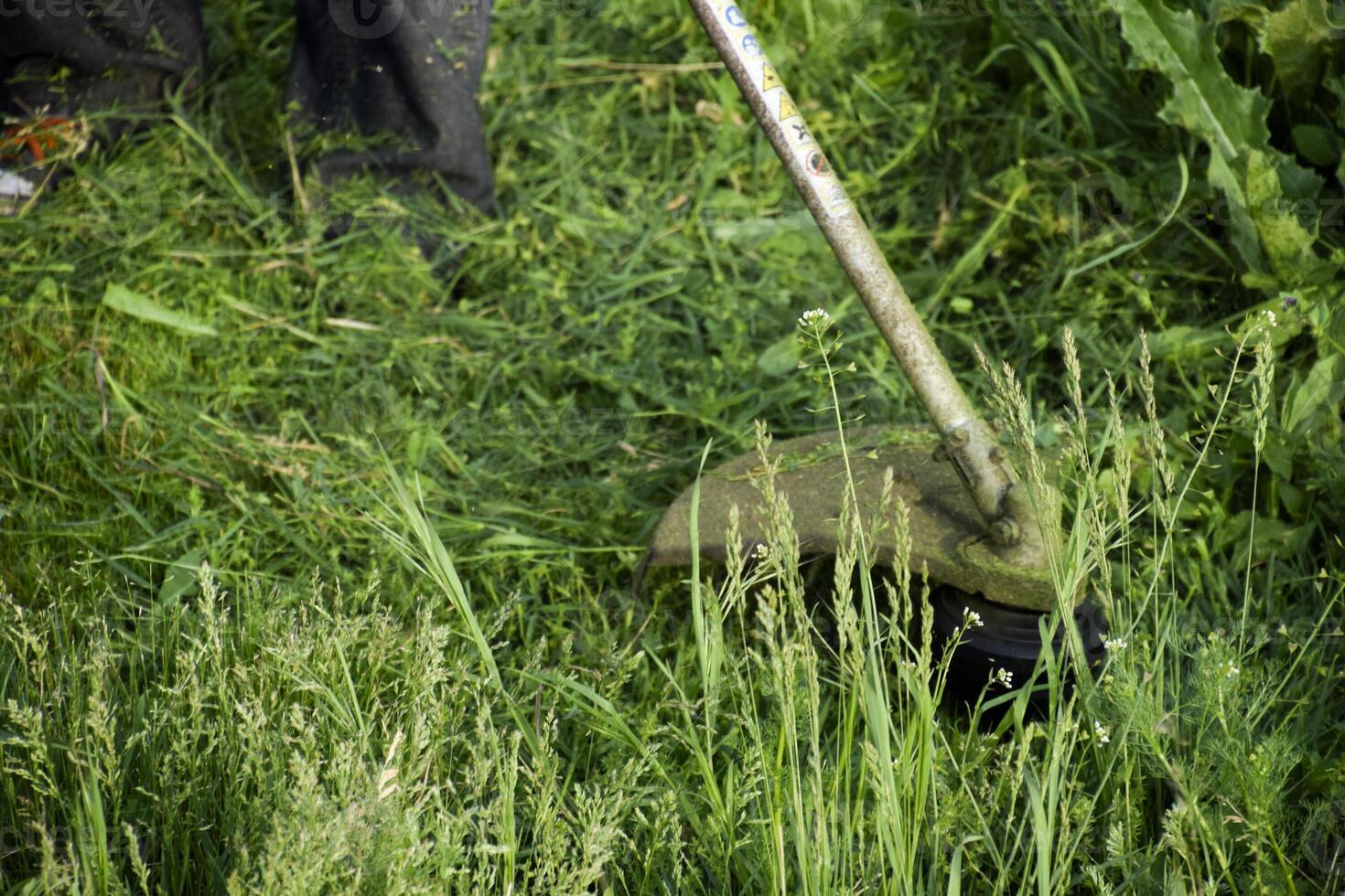 inscrição aparadores. roçada verde Relva usando uma pescaria linha aparador foto