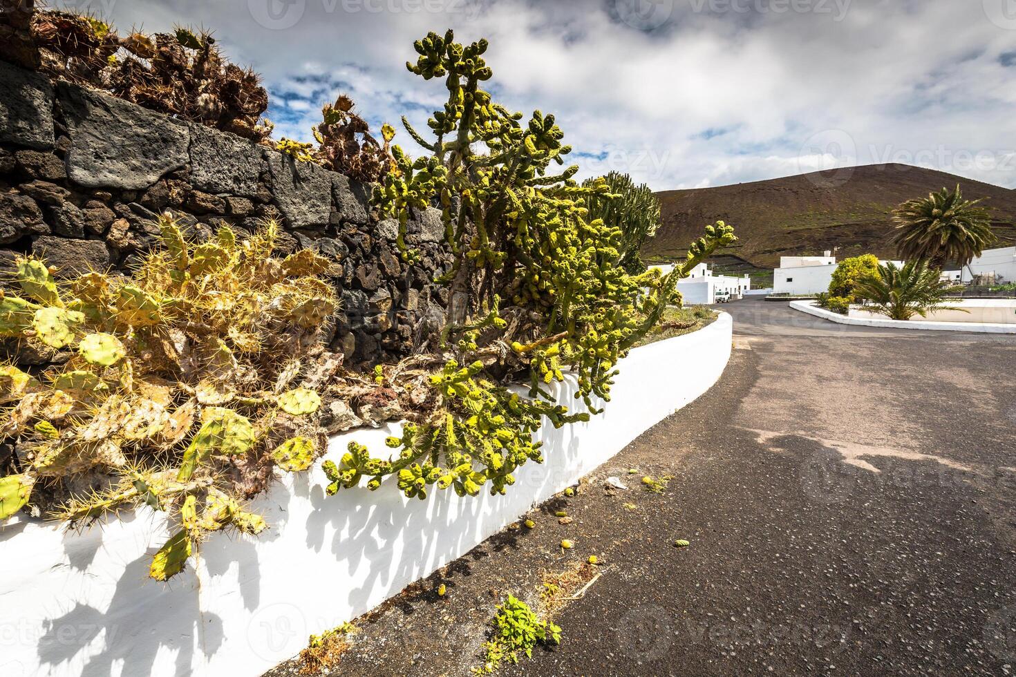 tropical cacto jardim dentro guatiza Vila, lanzarote, canário ilhas, Espanha foto