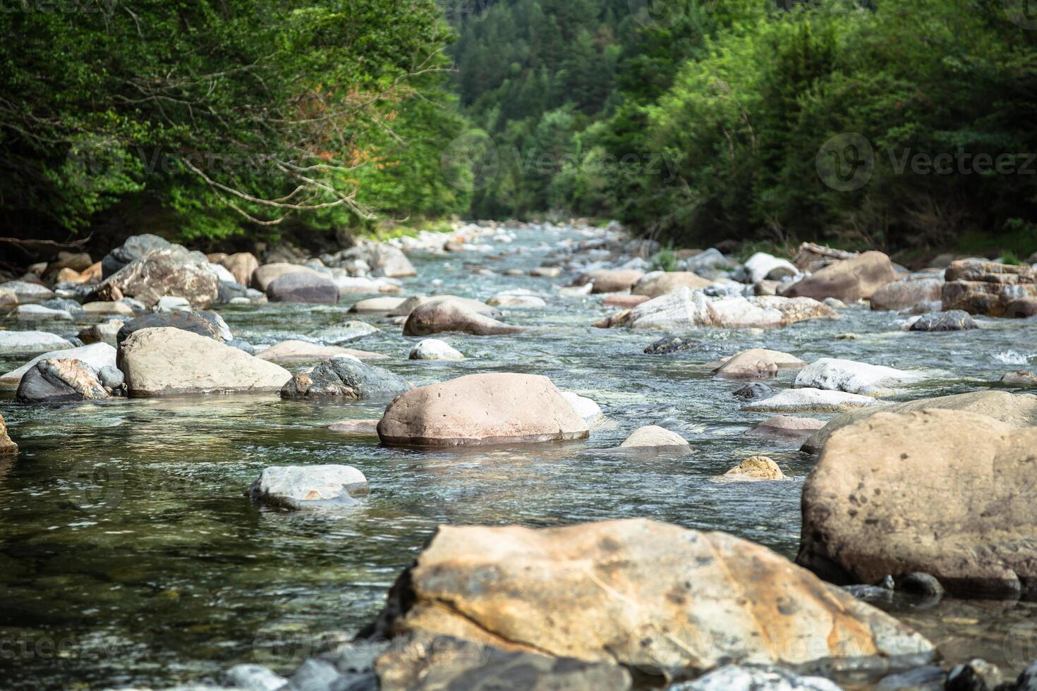 Ebro rio através uma vale dentro Cantábria, Espanha foto