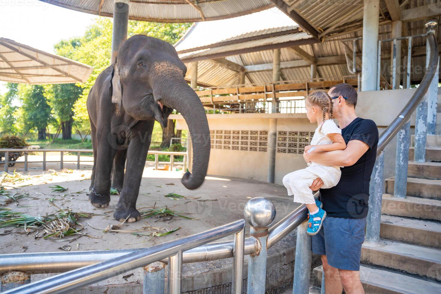 uma homem com pequeno filha alimentando elefante , viagem conceito. tailândia, Ásia. Alto qualidade foto