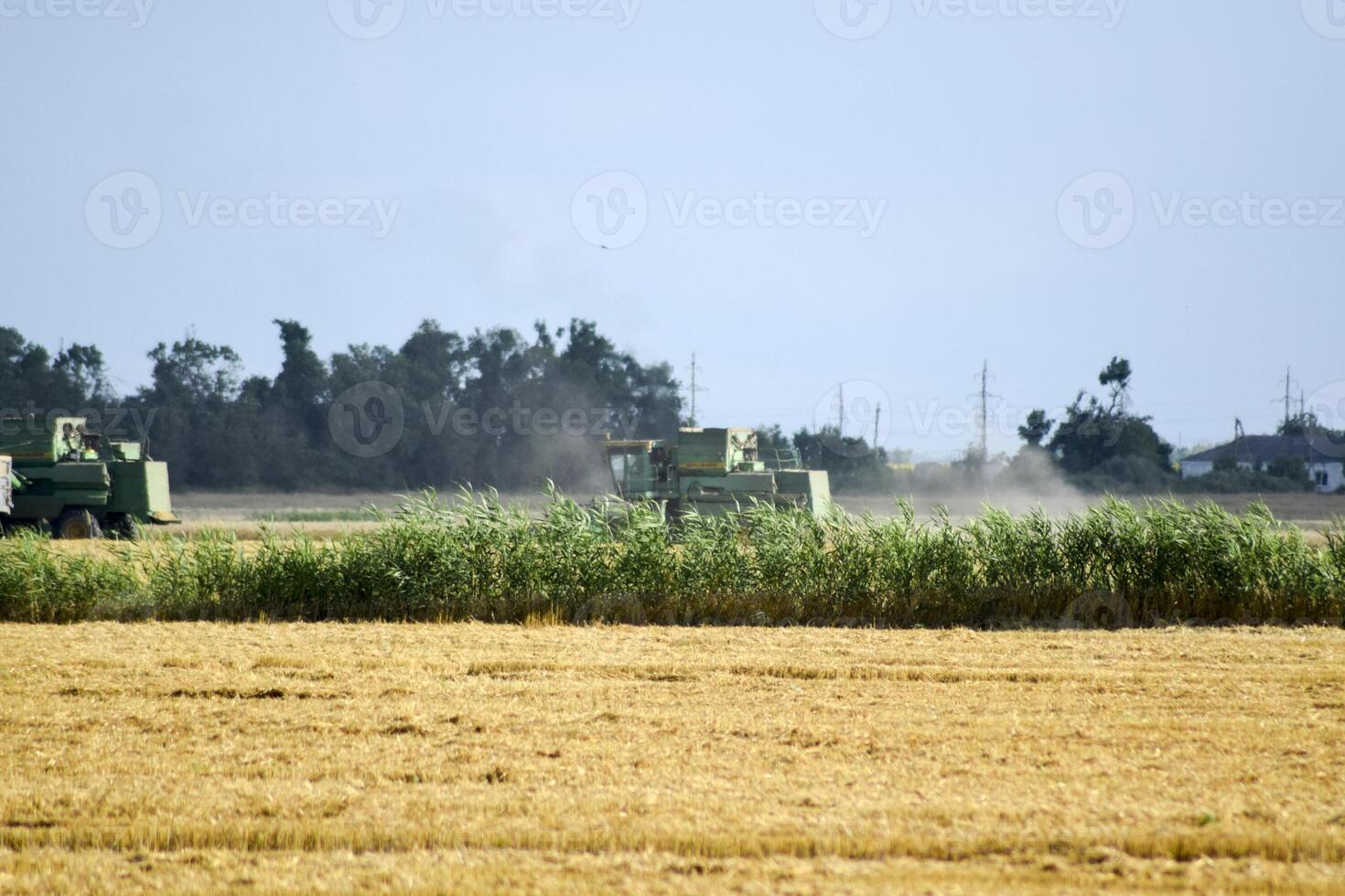 combinar colheitadeiras. agrícola maquinaria. foto