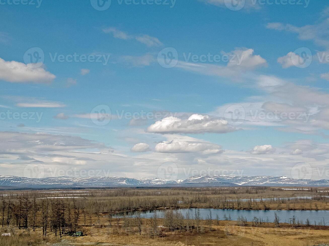 rio panorama cedo Primavera. nu árvores, Derretendo neve. foto