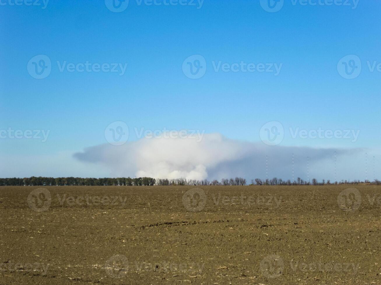 uma pilar do fumaça a partir de queimando arroz Palha em a campo. foto