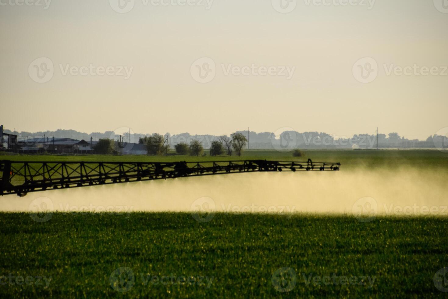 trator com a Socorro do uma pulverizador sprays líquido fertilizantes em jovem trigo dentro a campo. foto