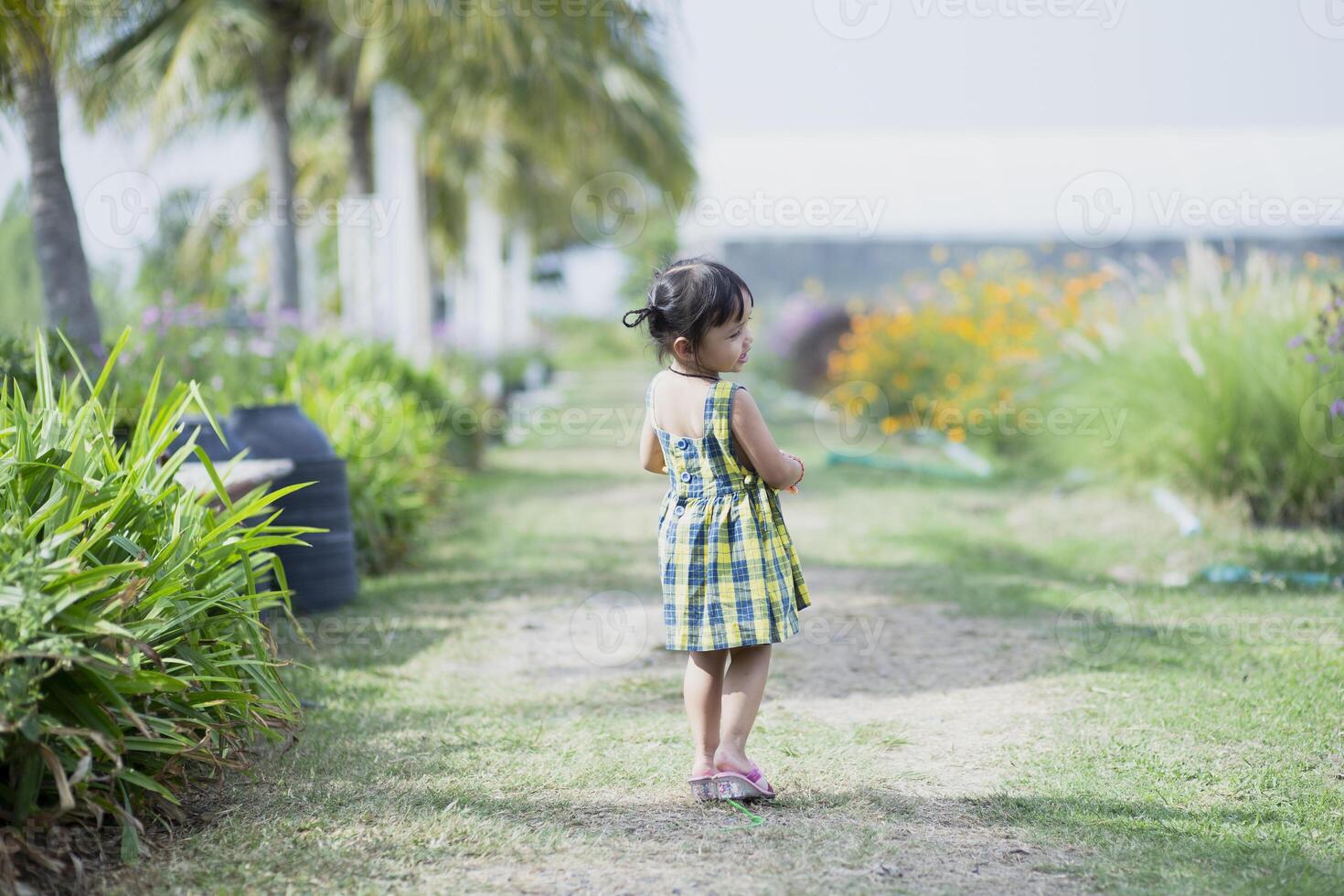 bonito mulher Ásia estilo em amarelo flor jardim e olhando sorrir feliz Tempo em a dia foto