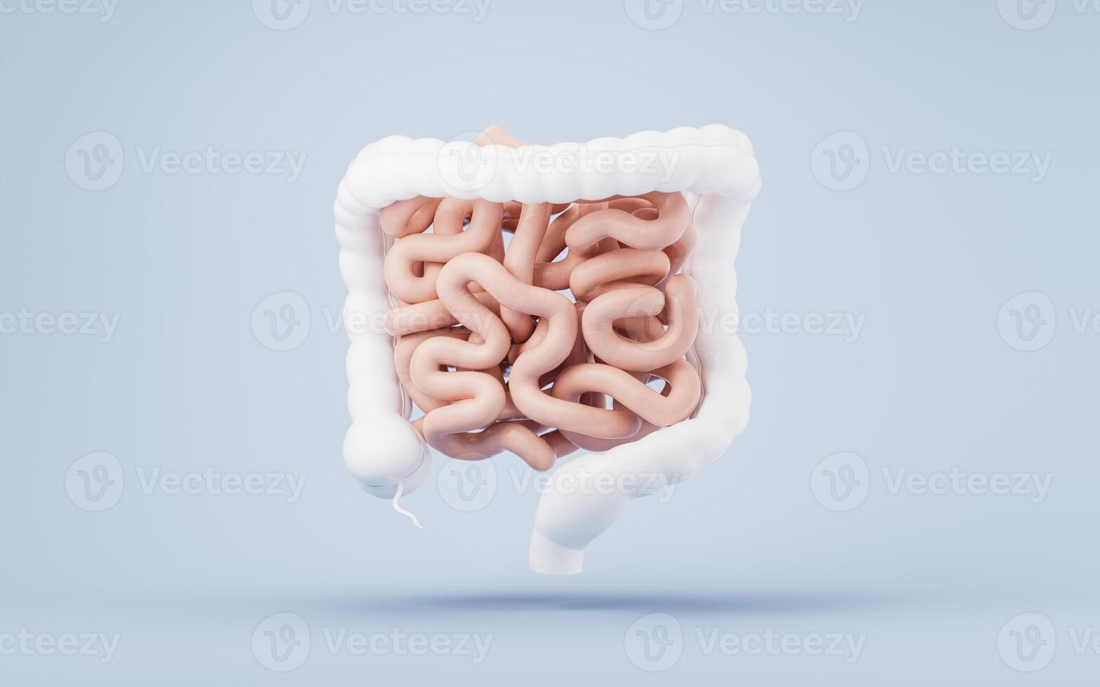 intestinal trato com digestivo saúde conceito, 3d Renderização. foto