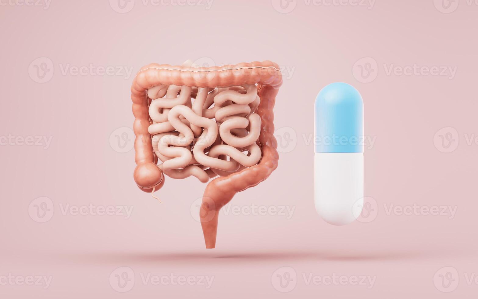 intestinal trato com digestivo saúde conceito, 3d Renderização. foto