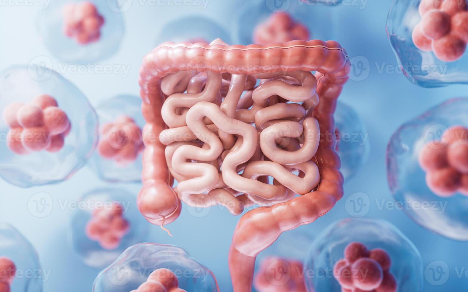 intestinal trato com digestivo saúde conceito, 3d Renderização. foto