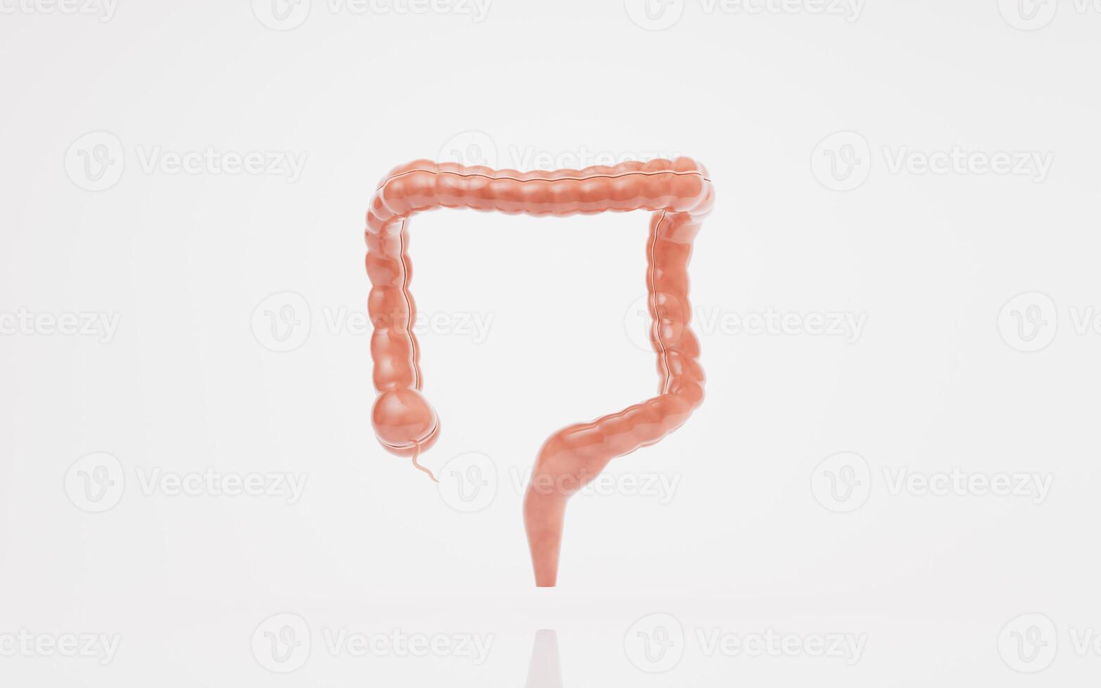 intestinal trato com digestivo saúde conceito, 3d Renderização. foto