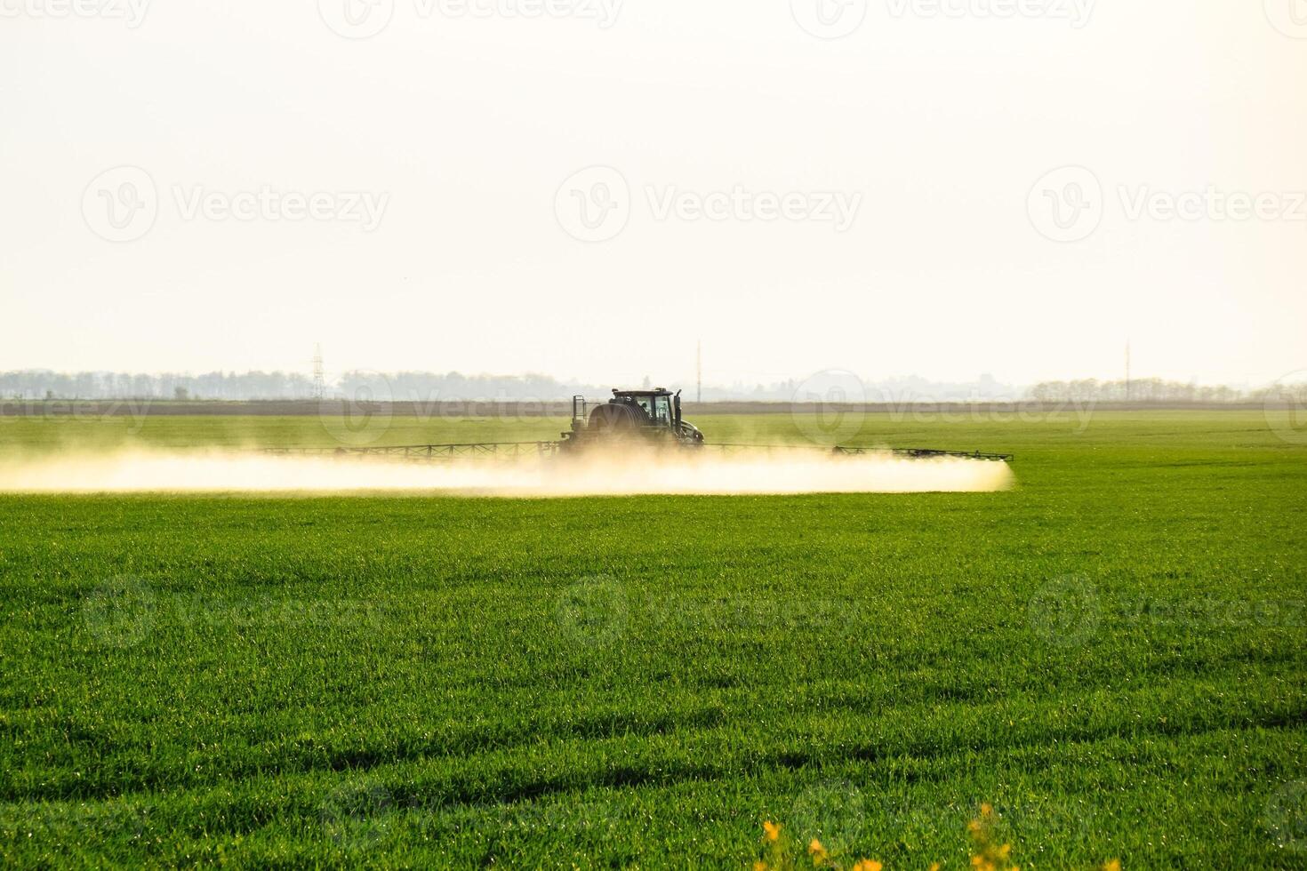 trator com a Socorro do uma pulverizador sprays líquido fertilizantes em jovem trigo dentro a campo. foto