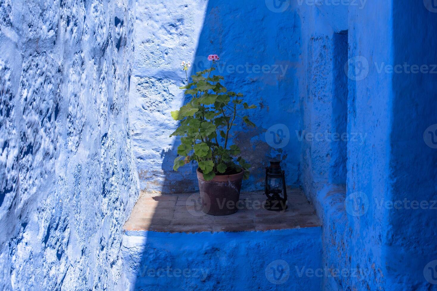 2023 8 15 Peru gerânio e luminária foto