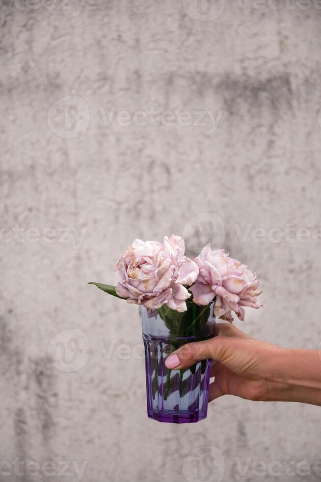 fêmea mão segurando uma vidro com desbotando brotos do esfumaçado lilás rosa em uma cinzento parede fundo foto